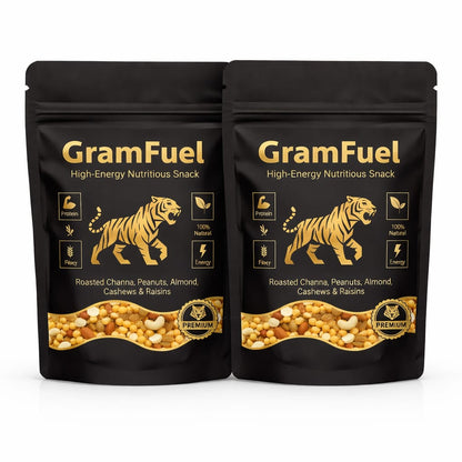 GramFuel Energy Dry Fruit Mix – Pack of 2 (500g Each) | Roasted Chana, Peanuts, Almonds, Cashews & Raisins | Healthy Protein Snack
